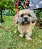Warmington Garden Party