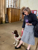 Our Vicar and her dog, Sonnet