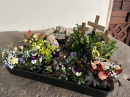 Easter Garden