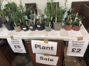 Tansor Plant Sale